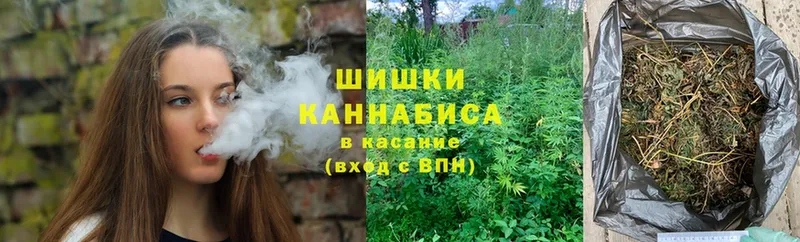 Шишки марихуана конопля  Лениногорск 